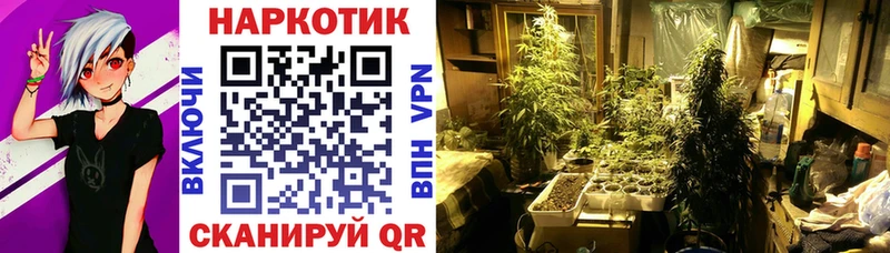 Наркошоп Нижневартовск Кокаин  ГАШ  Метадон  Марихуана  Alpha PVP 
