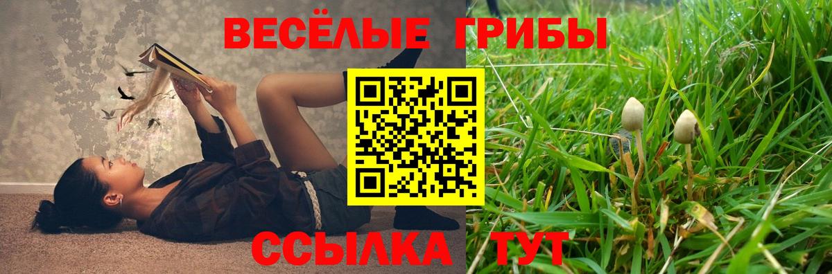 Галлюциногенные грибы Psilocybe  Вход с VPN  Нижневартовск  Галлюциногенные грибы MAGIC MUSHROOMS 